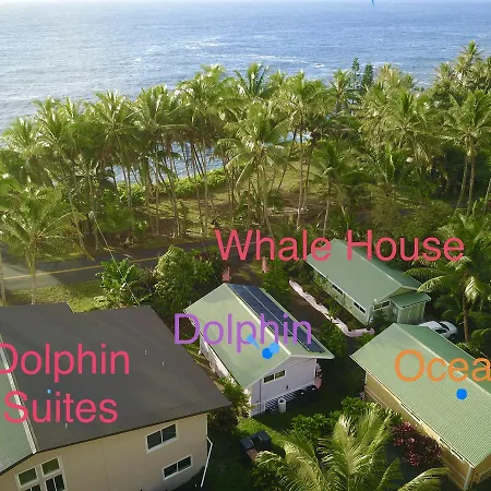 Whale House At Kehena Beach